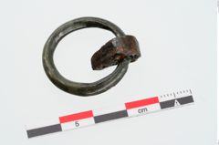Foto von Bronzering (NHMW-PRAE-024946)